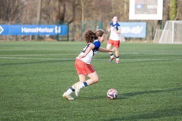 Bild 449 - wBJ Hamburger SV - Hertha BSC : Ergebnis: 2:1